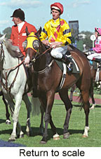 Return to scale (16077 bytes)