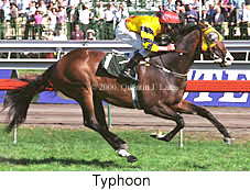 Typhoon (17402 bytes)