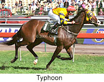 Typhoon (17402 bytes)