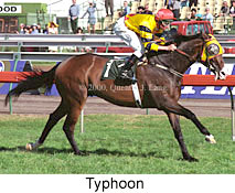 Typhoon (17402 bytes)