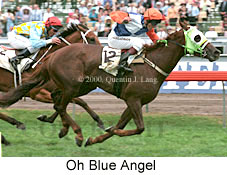 Oh Blue Angel (19249 bytes)