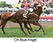 Oh Blue Angel (16658 bytes)