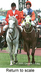 Return to scale (15100 bytes)