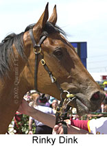 r1rinkydink2.jpg (12678 bytes)