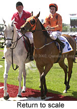 r1rtosc.jpg (15245 bytes)