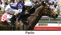 r2perlin3.jpg (14729 bytes)