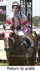 r3rtosc.jpg (14286 bytes)