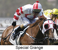 r3specialgrange.jpg (15115 bytes)