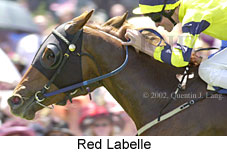 r4redlabelle.jpg (13818 bytes)