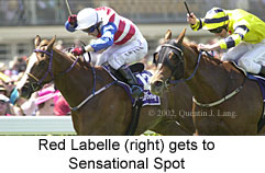 r4redlabelle2.jpg (16957 bytes)