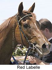 r4redlabelle3.jpg (13762 bytes)