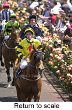 r4rtosc.jpg (18464 bytes)