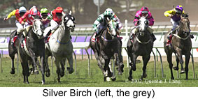 r5greysrace.jpg (19876 bytes)