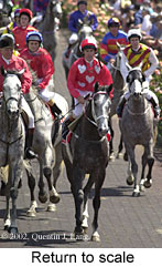 r5rtosc.jpg (18215 bytes)