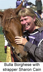 r6strapper.jpg (16651 bytes)