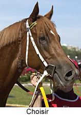 r7choisir.jpg (13086 bytes)