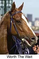 r8worththewait3.jpg (12954 bytes)