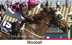 r9mooball.jpg (16267 bytes)