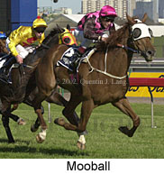 r9mooball2.jpg (15666 bytes)