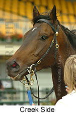 Creek Side (18507 bytes)