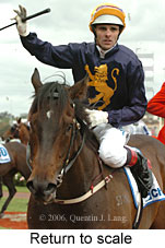 Return to scale (17769 bytes)