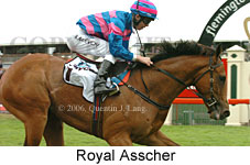 Royal Asscher (18507 bytes)