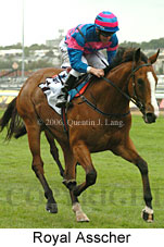 Royal Asscher (18507 bytes)