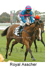 Royal Asscher (18507 bytes)