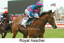 Royal Asscher (18507 bytes)