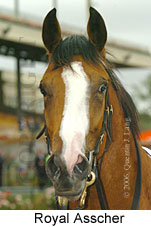 Royal Asscher (18507 bytes)