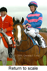 Return to scale (17769 bytes)