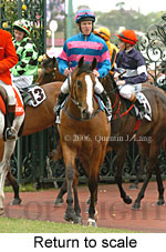 Return to scale (17769 bytes)