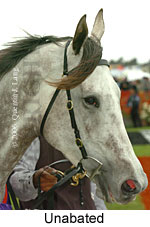 Unabated (18507 bytes)