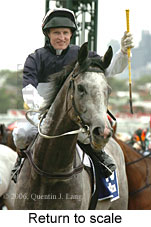 Return to scale (17769 bytes)