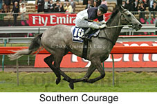 Southern Courage (18507 bytes)