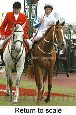 Return to scale (17769 bytes)