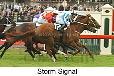 Storm Signal (18507 bytes)