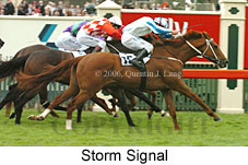 Storm Signal (18507 bytes)