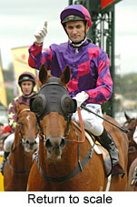 Return to scale (17769 bytes)