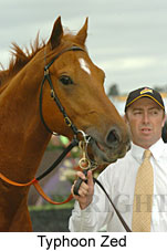 Typhoon Zed (18507 bytes)