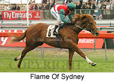Flame Of Sydney (18507 bytes)