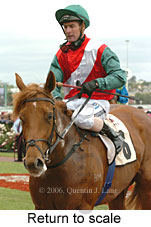 Return to scale (17769 bytes)