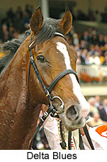 Delta Blues (18507 bytes)