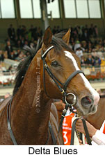 Delta Blues (18507 bytes)