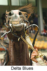 Delta Blues (18507 bytes)