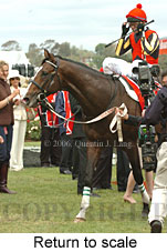 Return to scale (17769 bytes)