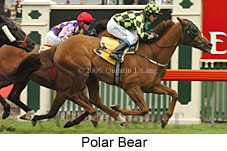 Polar Bear (18507 bytes)