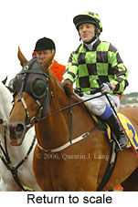 Return to scale (17769 bytes)