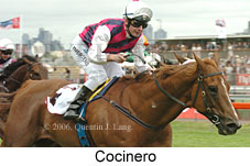 Cocinero (18507 bytes)