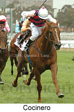 Cocinero (18507 bytes)